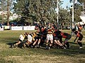 Miniatura para Uncas Rugby Club