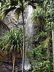 A picture of a waterfall obstructed by a couple of palm trees.