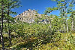 De taiga bij de rivier (onder andere lariksen) met op de achtergrond de bergtop Pik Gljatsiolog