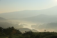 霧中に包まれた早朝の東白樺湖