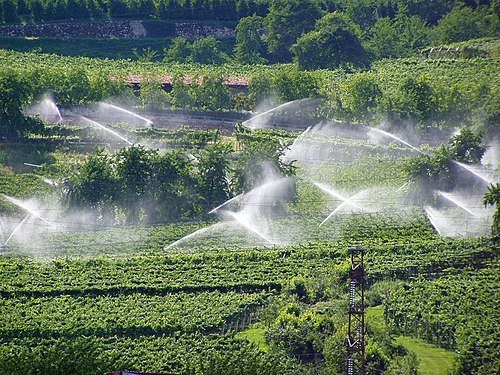 Sprinklers in vineyard in the region of Trentino-Alto Adige (Italy)