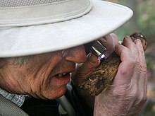 Lincoff in 2012 identifying a fungus
