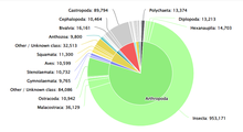 Animal groups and their number of species from the Catalogue of Life. Animal kingdom chart from Catalogue of Life.png