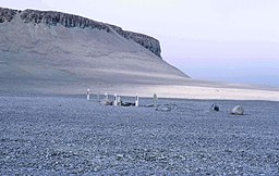 Några av Franklinexpeditionens gravar på Beecheyön