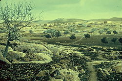 Beit Ur al-Tahta, between 1950 and 1977.