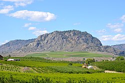 Rolling hills of Okanagan Falls with Peach Cliff in the distance