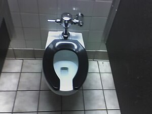 English: photo of toilet seat
