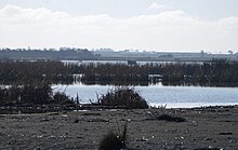 Coopers Lagoon / Muriwai as seen in July during the early afternoon, 2024. Beds of Raupo reeds can be seen, in addition to hides for waterfowl hunting.