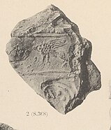 Griffin seal impression. Susa, Iran. 4th millennium B.C..