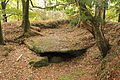 Dolmen de Kergonfalz