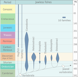 Evolution of jawless fish. The diagram is based on Michael Benton, 2005. Evolution of jawless fish.png