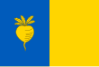 Sint-Niklaas – vlajka