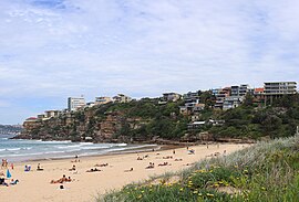 Freshwaterbeach pittwater council.jpg