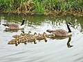 2011年2月4日 (金) 04:30時点における版のサムネイル