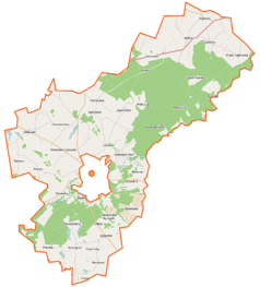 Mapa konturowa gminy wiejskiej Golub-Dobrzyń, blisko lewej krawiędzi znajduje się punkt z opisem „Ostrowite”