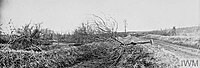 Vue du village détruit et des arbres coupés en septembre 1918.