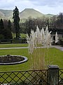 Ilam Hall gardens, looking towards Thorpe Cloud