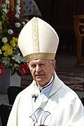 El cardenal eslovaco Jozef Tomko