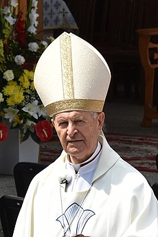 Jozef kardinál Tomko na hore Zvir v Litmanovej