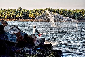 English: A fisherman in Kerala, India. A fishe...