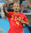 Vignette pour Vincent Kompany