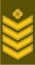 LT-Army-OR8.gif