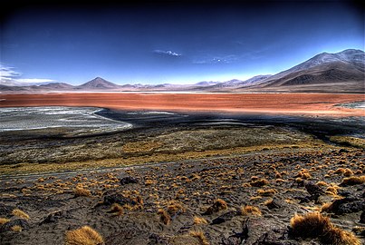 Laguna Colorada, Bolivia