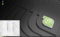 Linux Mint MATE 19