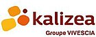 logo de Kalizea