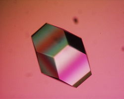 Lysozyme crystal1.JPG