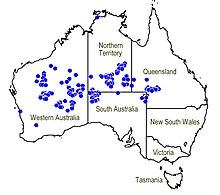 Map.Newcastelia cephalantha.jpg