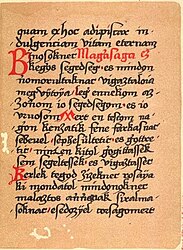 Page du Codex de Nádor utilisant le o barre souscrite.