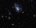 Arp 263 (NGC 3239)