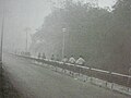 Students walking through the fog that covered the hilly campus every morning in 1988.