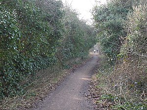 Nast Hyde Halt Remains.jpg