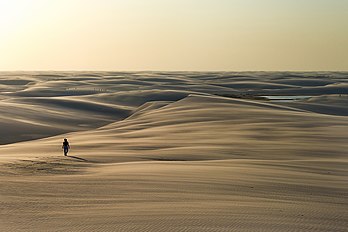 Paysage du parc national des Lençóis Maranhenses, dans l'État brésilien du Maranhão. (définition réelle 4 000 × 2 670)