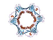 1u76​: Kristalna struktura hPCNA vezanog za ostatke 452-466 DNK polimeraze-delta, p66 podjedinice