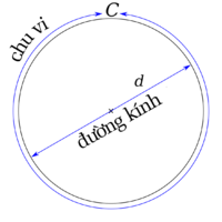 Chu vi của một đường tròn lớn hơn khoảng 3 lần so với đường kính. Giá trị chính xác gọi là số π.