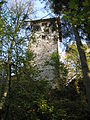 Burgruine Reschenstein