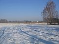 Ruhland, Im Hain (alter Flurname), Blick vom verlängerten Hainweg nach Nordnordost; im Hintergrund Gehölzreihe an einem Feldweg von der Fischerstraße zur Jägerbrücke / Ende Ortander Straße; rechts hinten die Fischerstraße, hinten Mitte der Einmündung des Neugrabens in den Hainwiesengraben.