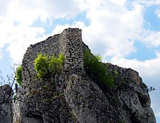 Castillo de Ryczów