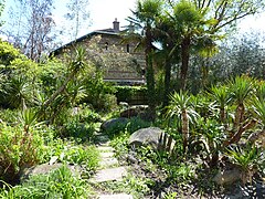 Il giardino mediterraneo