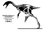 Miniatura para Similicaudipteryx yixianensis