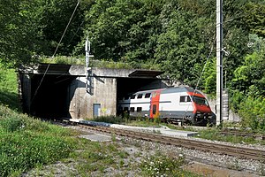 Hondrichtunnel