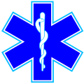 Gwiazda życia (w języku angielskim „Star of Life”)