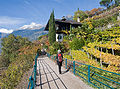 above Meran (Tappeinerweg)