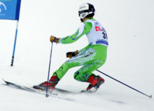 Telemark competition gate.png