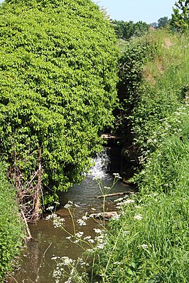 Van Themsches molen