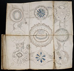 A Fold-Out Page of the Voynich Manuscript