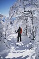 Walking among snow monsters on Mount Yoko